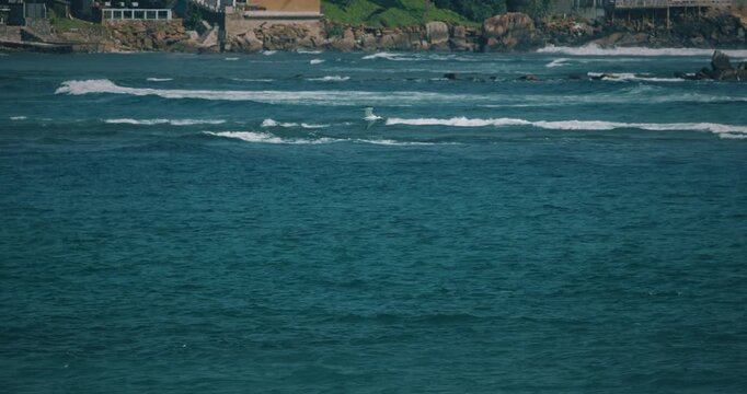 Sri Lanka, Unawatuna. Lesser crested tern bird hunting for fishes in ocean. Ocean Wave Water Foam Splashes Washing Beach. Sri Lanka Unawatuna. Lesser crested tern - Thalasseus bengalensis is a tern in