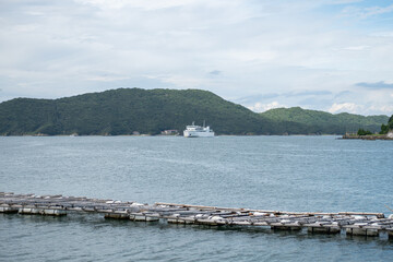 Fishing rafts floating on sea near green island with ferry boat in distance