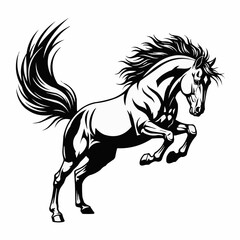 Majestic Rearing Horse Black and White Illustration.