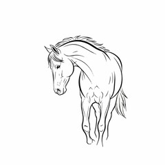Elegant Horse Line Art Drawing with Graceful Pose.