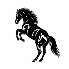 Majestic black horse rearing up with powerful stance against white background.