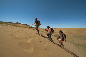 A group of friends with trekking poles and backpacks ascends a sand dune in Mongolia, moving right to left. Side view with sparse green grass and endless sandy mountains under clear blue sky.