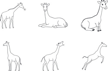 Different poses of giraffes blank line art set vector