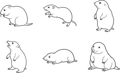 Different poses of gophers blank line art set vector