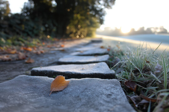 Frosted path with autumn leaf on a cold winter morning