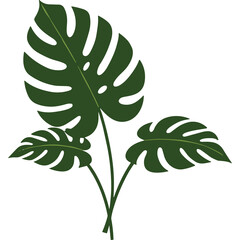 Vibrant Green Monstera Leaves With Yellow Veins On A Transparent Background Vector Art