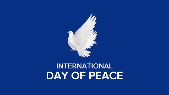 Dove of Peace Symbolizing International Day of Peace on a Blue Background