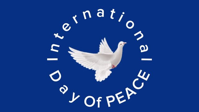 International Day of Peace - Dove of Peace Symbol and Celebration on Blue Background