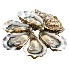 A visually striking arrangement of freshly shucked oysters against a stark black background.