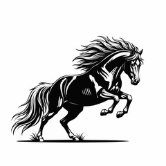 Powerful Black Horse Rearing Up in Dynamic Pose.