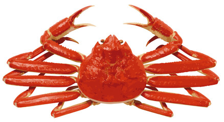 ズワイガニ