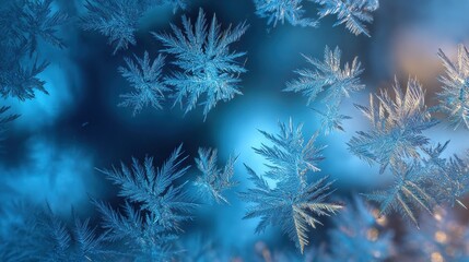 Delicate ice crystals form intricate patterns, a dance of frozen artistry against a cool blue backdrop.