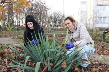 Two women tending to a flowerbed outside