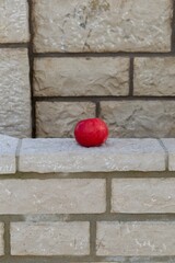 Red apple on stone wall