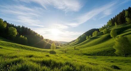 Obraz premium Green valley landscape meadow trees forest sky sunlight nature scenic view outdoors summer grass hills