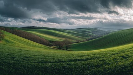 Green rolling hills under a dramatic cloudy sky, with a winding valley and bare trees in the center. Concept Landscape Photography, Moody Sky, Rolling Hills, Winding Valley, Bare Trees