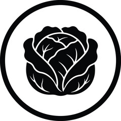 Illustrator Cabbage head black and white vegetable silhouette vector