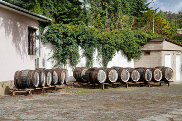 Wooden wine barrels standing in a row on a clear sunny day. Winemaking viticulture wine blend.