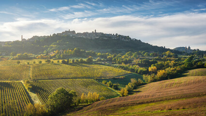 Obraz premium Montepulciano and San Biagio Church Over Vineyards, Tuscany, Italy