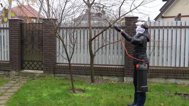 Winterizing plants. A woman treats plants for insects before winter.