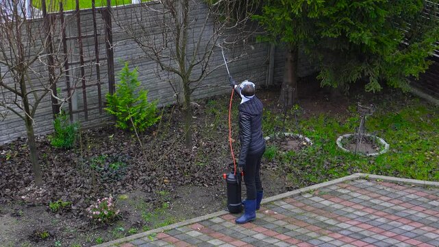 Winterizing plants. A woman treats plants for insects before winter.