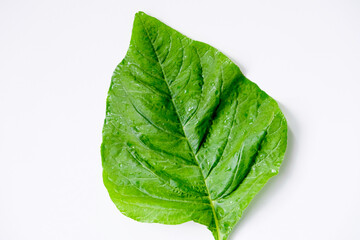 Close-up of spinach leaf isolated on white background
