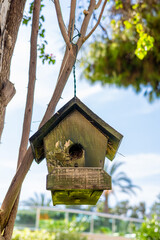 A wooden birdhouse hanging from a tree branch. The birdhouse is green with a slanted roof. The background features blue sky and green foliage.