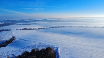 Obraz premium A peaceful winter landscape featuring a wide, open field blanketed in fresh snow, with snow-covered trees standing along the horizon. Soft natural light enhances the serene atmosphere, 