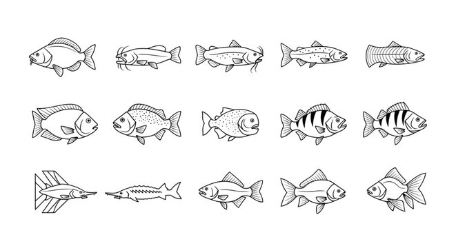 Collection of fifteen different fish illustrations, including carp, sturgeon, and goldfish, in a simple black and white line drawing style.
