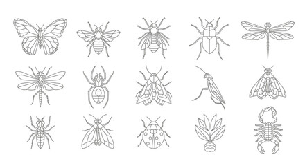 Collection of detailed insect illustrations, showcasing various bug species in line art.