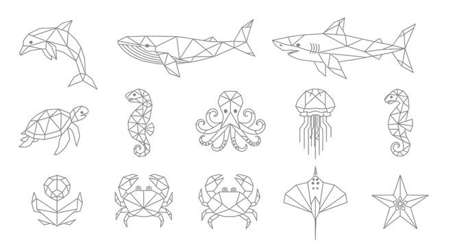 Geometric line art illustrations of various marine animals and sea creatures.