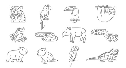 Naklejka premium Outlined illustrations of various jungle animals, showcasing diverse species in a simple line art style.