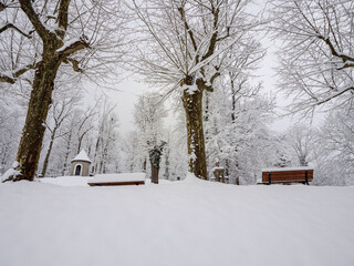 Minimalist winter park scene with benches and trees in deep, fresh snow