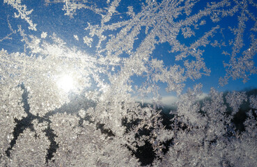 Graficzne wzory malowane porannym szronem na szybie