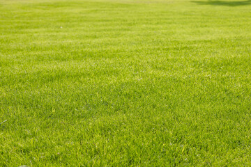 A lush green lawn with evenly cut grass, showcasing vibrant colors and a well-maintained...
