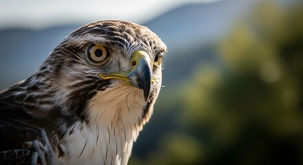 Cinematic Close-up of Wild Bird Turning Head with Shallow Focus