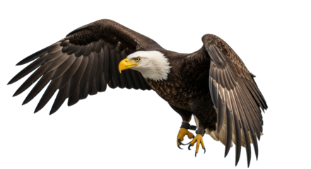 Majestic bald eagle in mid-flight with massive wings extended, intense yellow eyes focused, against a blurred mountain peak and blue sky, soft natural light, concept of strategic vision and decisive