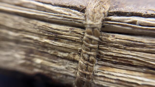 Macro Detail of Antique Book Binding, rustic detail of an antique book's spine and aged paper edges. The image powerfully conveys a sense of history and timeless knowledge.