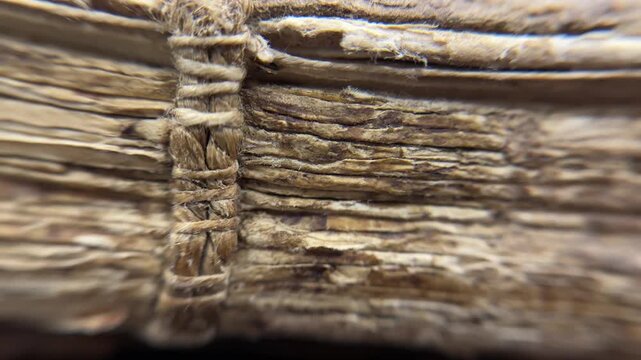 Macro Detail of Antique Book Binding, rustic detail of an antique book's spine and aged paper edges. The image powerfully conveys a sense of history and timeless knowledge.
