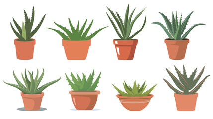 Obraz premium Flat Aloe Vera Plant in Terracotta Pot — Simple Minimalist Vector Illustration