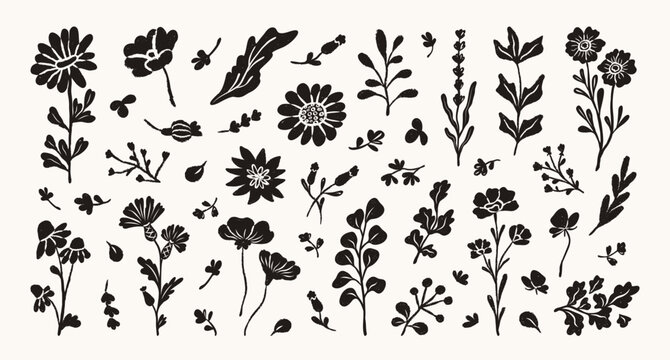 Set of abstract vector flowers hand drawn black paint. Doodle pencil, brush, chalk style.  Monochrome botanical ink drawing floral elements. Sketch silhouette daisy, aster, chrysanthemum and leaves.