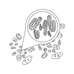 marburg virus in bat droppings line icon