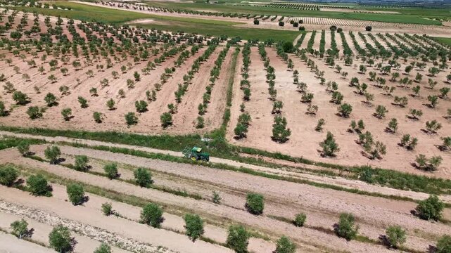 TRACTOR POR CAMINO ENTRE CAMPOS DE CULTIVO