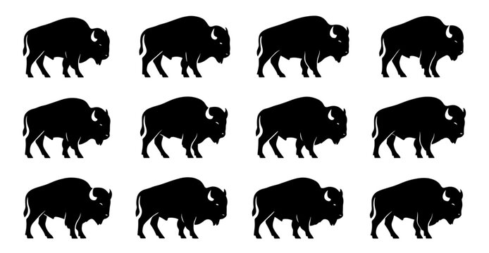 Bison silhouettes in grazing and standing positions. Clean lines show high quality. The set captures massive bodies and calm posture