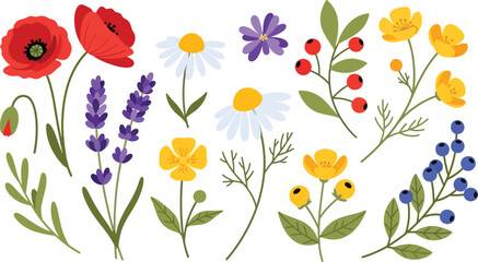 Wild meadow flower set in bright flat vector illustration style, suitable for nature graphics, patterns, and spring design