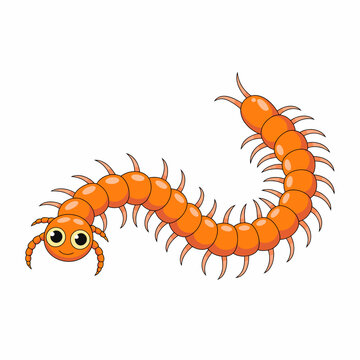 A charming cartoon centipede with a happy face and vibrant colors, designed to appeal to children and showcase a friendly, playful insect character.