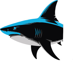 vector illustration of a shark