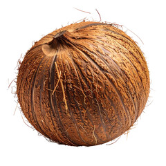 Whole coconut shell with textured surface on a plain black background