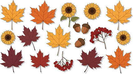 Autumn flowers and leaves in warm seasonal colors illustrated in flat vector style