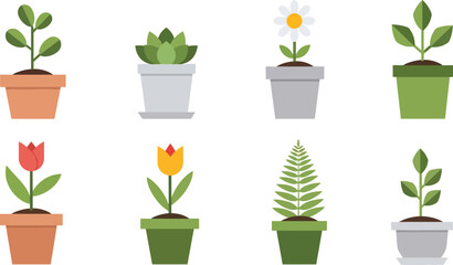 Cute houseplants and flowers in pots illustrated in flat vector style for home decor themes